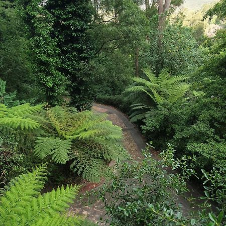 Willa Risehill House Kalorama Zewnętrze zdjęcie